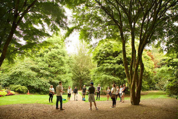 Forest Meditation Circle In Stanley Park