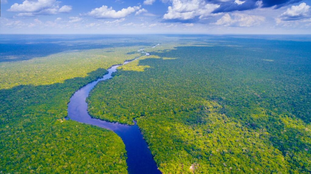 Amazon Rainforest