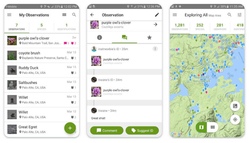 2. iNaturalist: Become a citizen scientist and catalogue your discoveries in the natural world