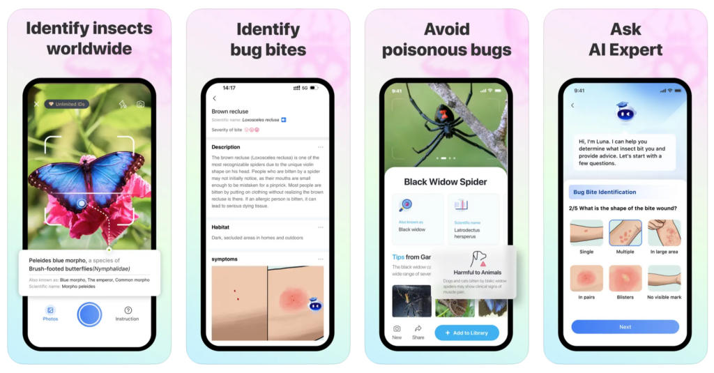 Picture Insect: Identify insects, bugs and spiders in your local ecosystem