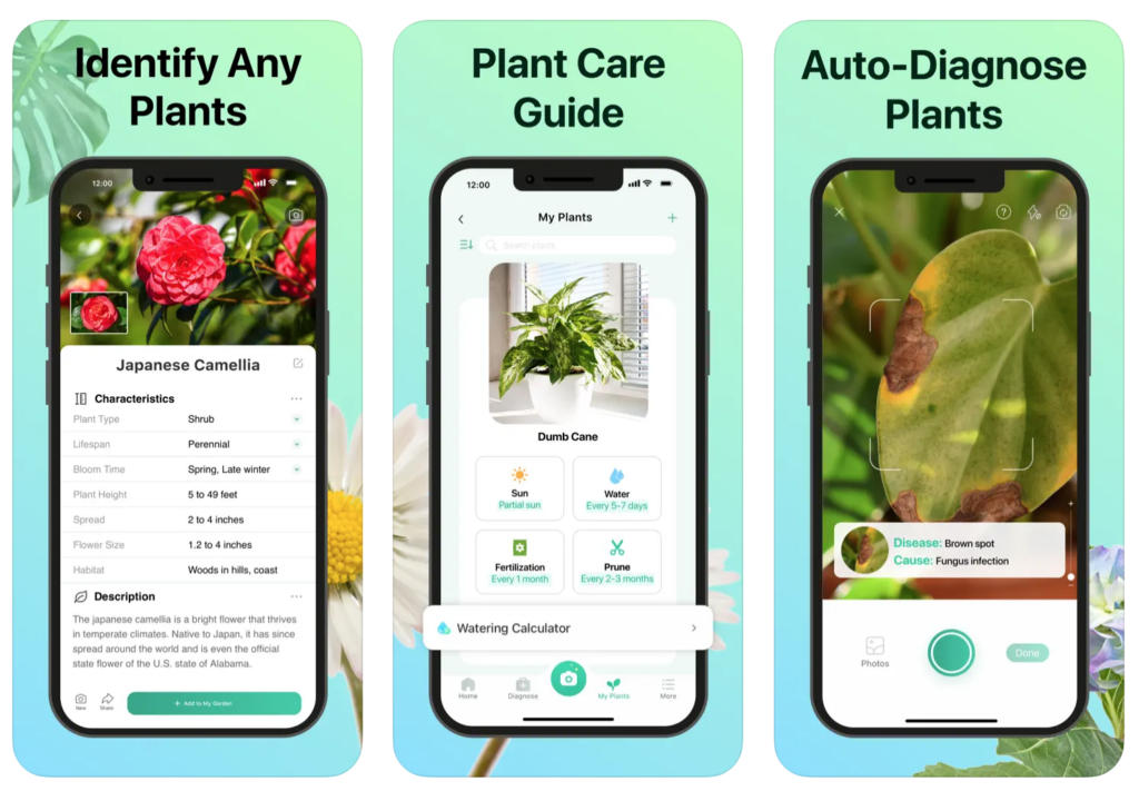 PictureThis: Identify house plants and wild plants with your camera