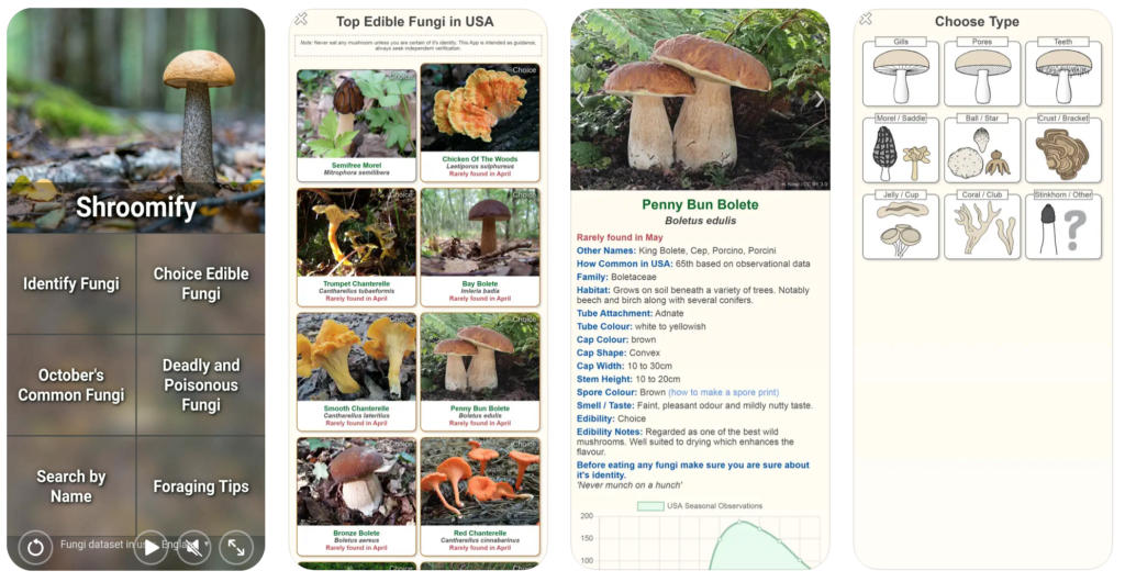 Shroomify: Identify mushrooms growing in your local ecosystem