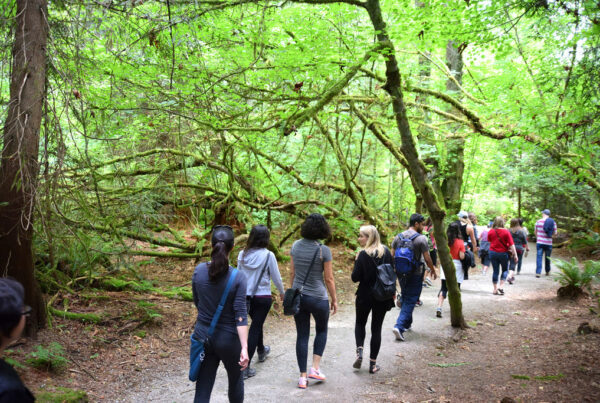 Forest Bathing