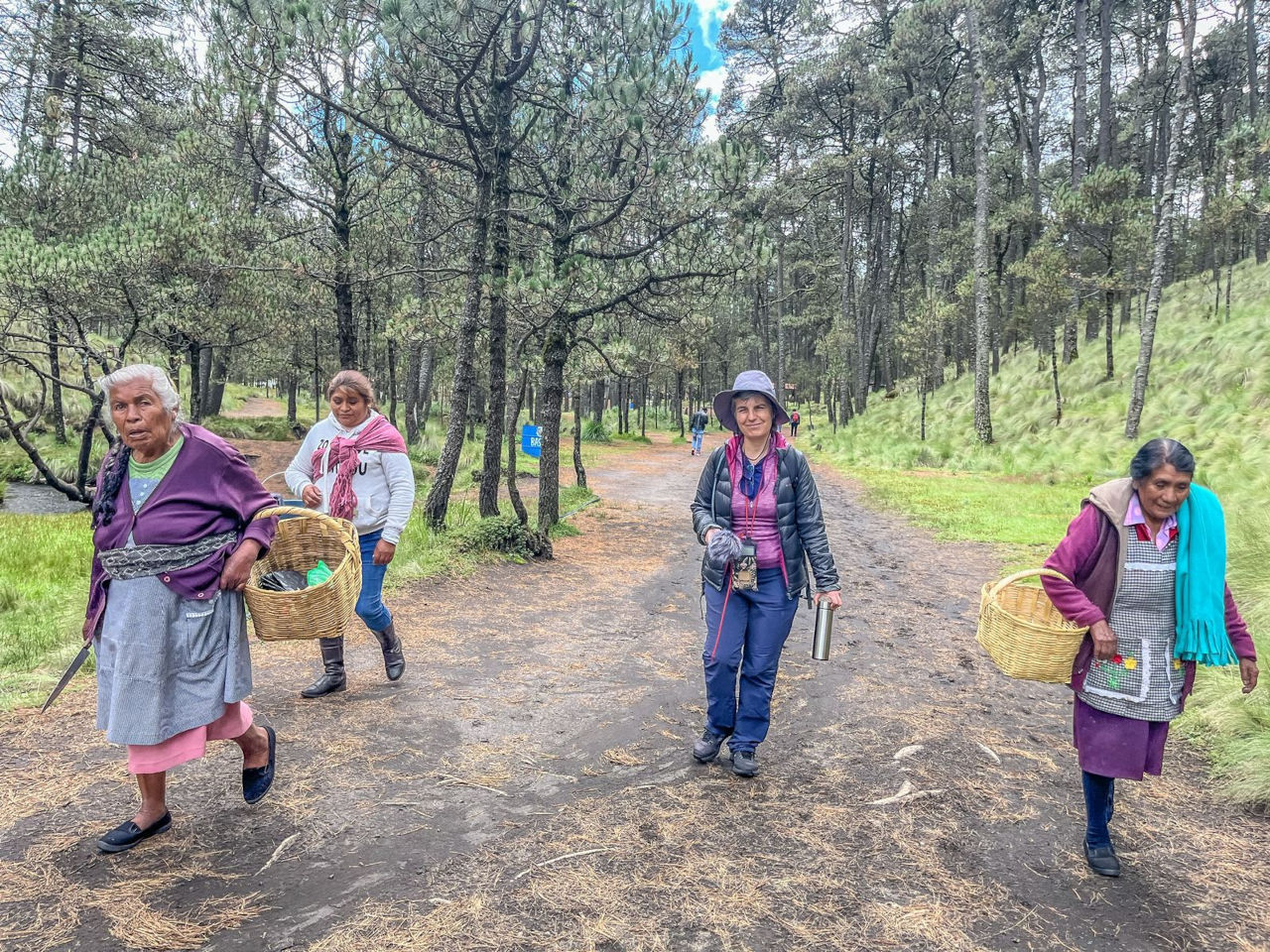 Mexico Mushroom Foraging