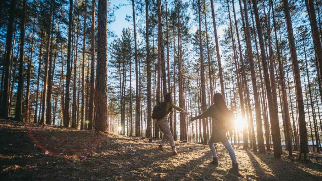 Mindfulness In Nature