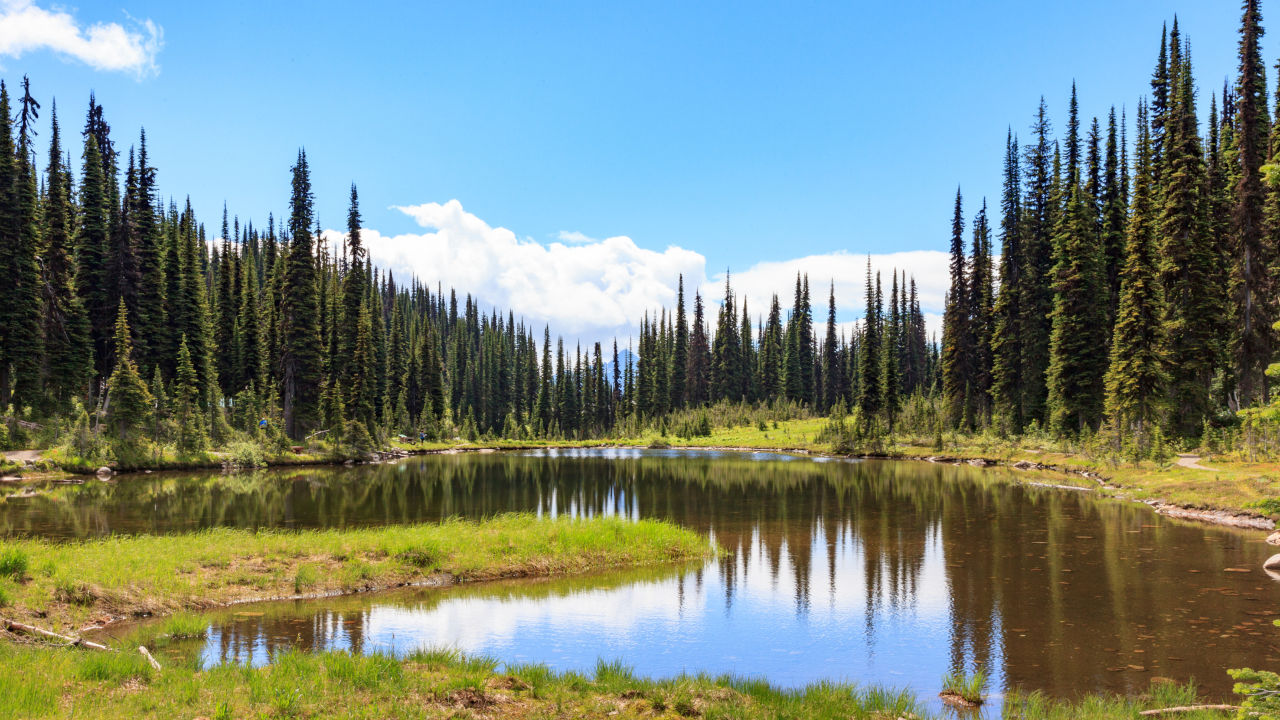 Mindful Hike In Mount Revelstoke’s Meadows In The Sky