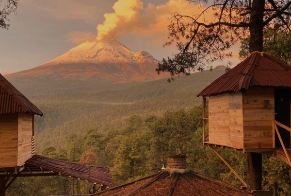 Pachamama Village Treehouses