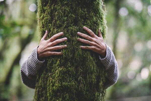 Shinrin-Yoku Forest Bathing