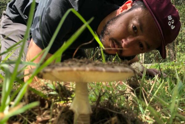 Medellin Colombia Mushroom Tour