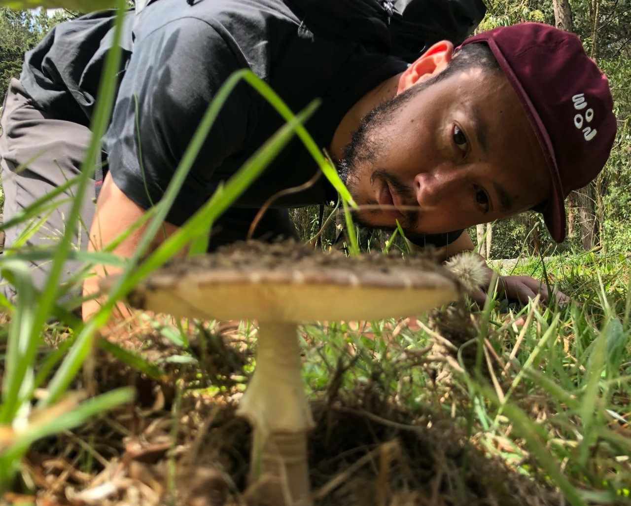 Mushroom Identification Tour In Medellin, Colombia’s Parque Arví